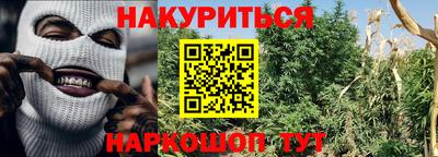 молекула духа Лесосибирск