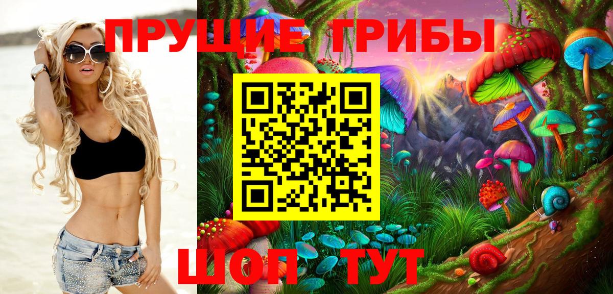 Галлюциногенные грибы Psilocybine cubensis Богородицк
