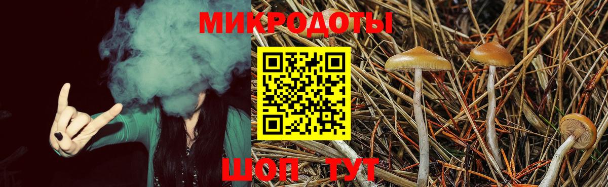 Галлюциногенные грибы прущие грибы  продажа наркотиков  Богородицк  Вход с VPN  Галлюциногенные грибы Psilocybine cubensis 